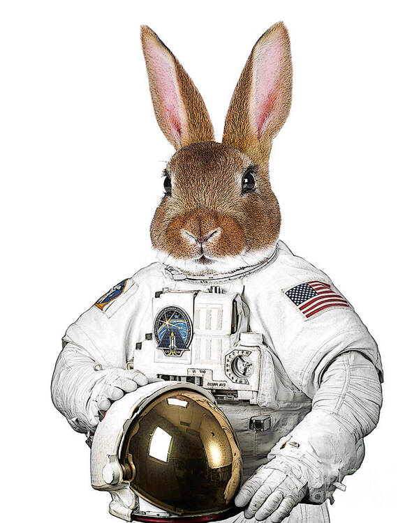 Rabbit Poster featuring the digital art Rabbit cosmonaut by Madame Memento