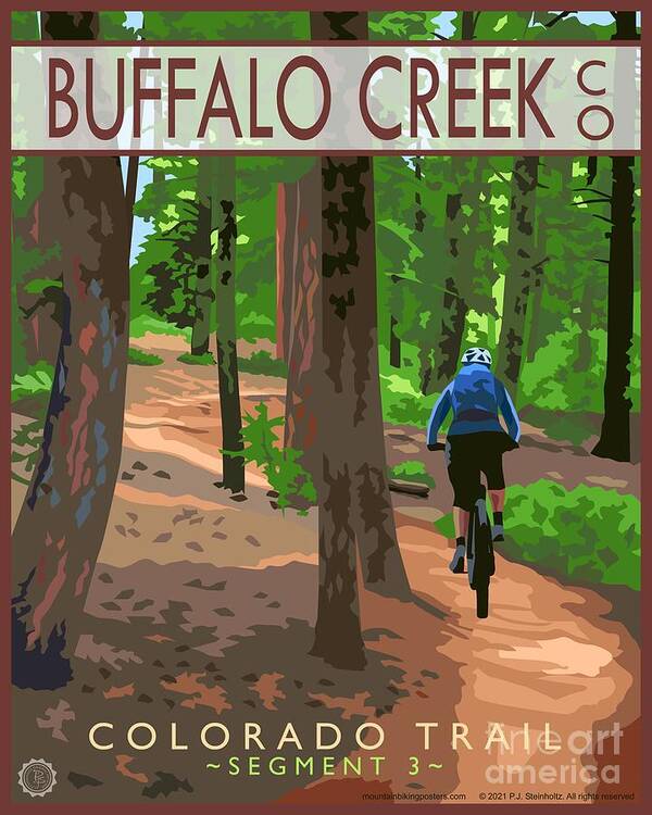 Mountain Biking Poster featuring the digital art Mountain Biking the Colorado Trail, Buffalo Creek, Colorado by PJ Steinholtz