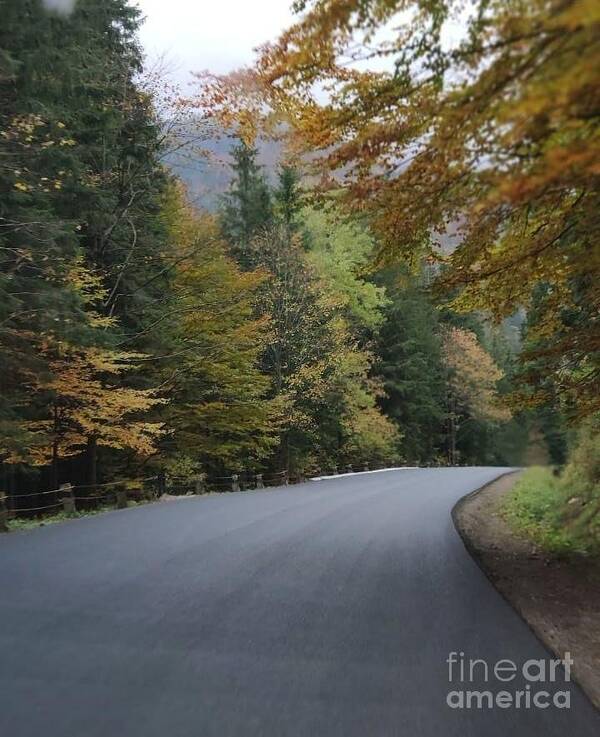 Road Poster featuring the photograph Road by Julia Bernardes