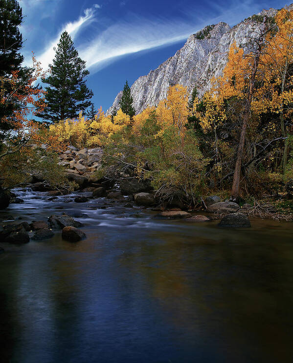 Landscape Poster featuring the photograph Rock Creek Canyon Gold by Paul Breitkreuz