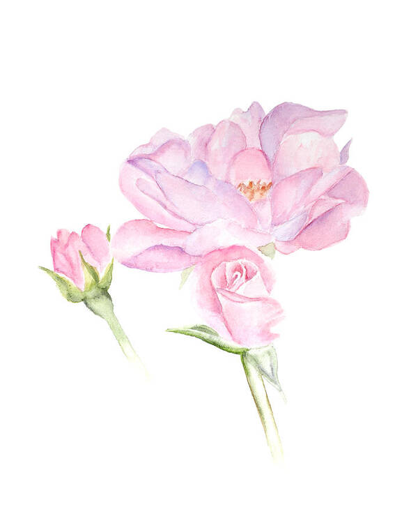 Floral Poster featuring the painting Rosebud by Elizabeth Lock