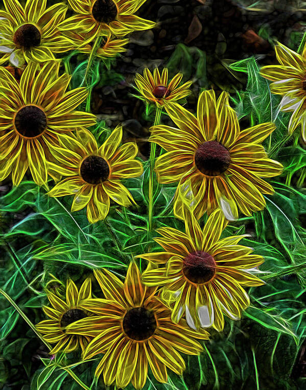 Helianthus Poster featuring the photograph Short Yellow Sunflower by Bill Barber