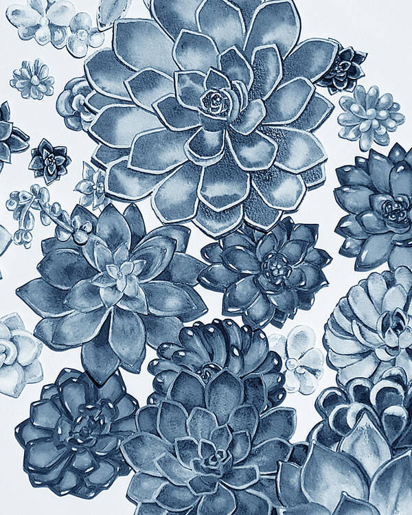 Succulent Poster featuring the painting Soft Indigo Blue Succulent Plants Garden Watercolor Interior Art II by Irina Sztukowski