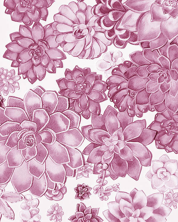 Succulent Poster featuring the painting Soft Pink Succulent Plants Garden Watercolor Interior Art IV by Irina Sztukowski