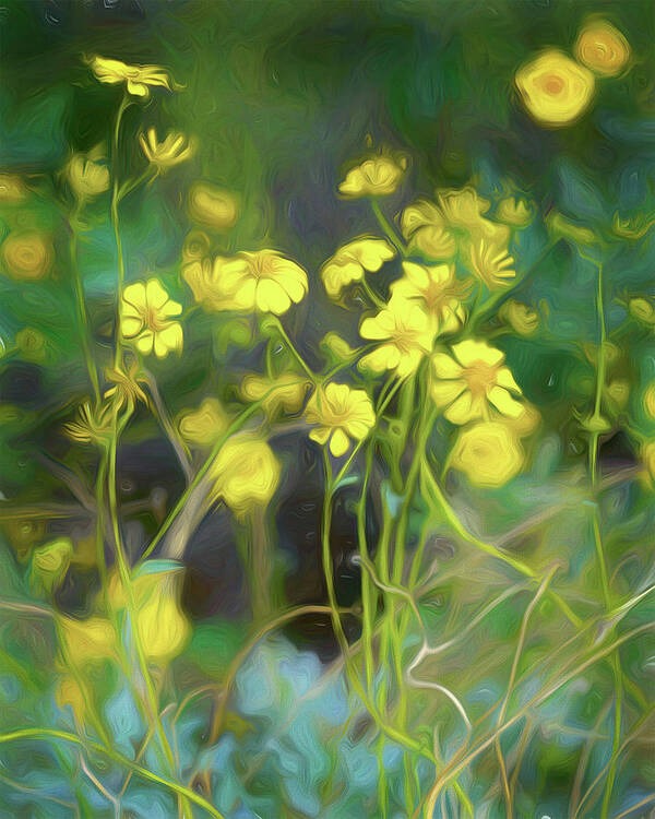 Tucson Poster featuring the digital art Sonoran Brittle Bush by Steve Kelley