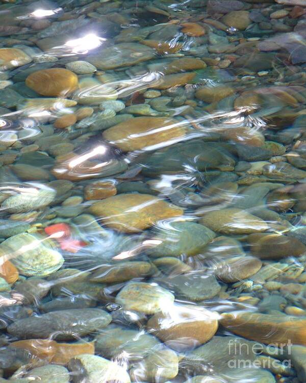 Water Poster featuring the photograph Sparkling Water on Rocky Creek by Carol Groenen