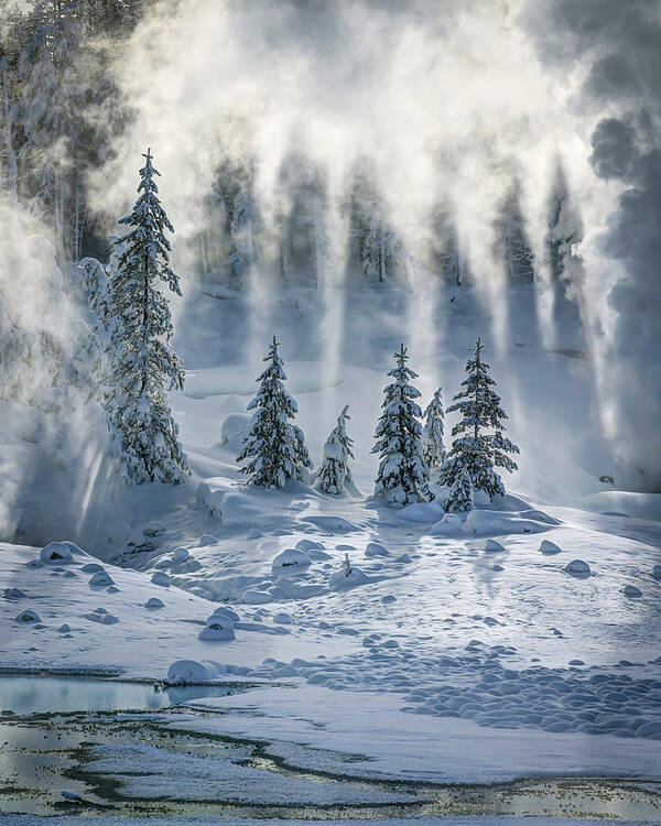 Yellowstone Poster featuring the photograph Steamy Reflections by Laura Hedien