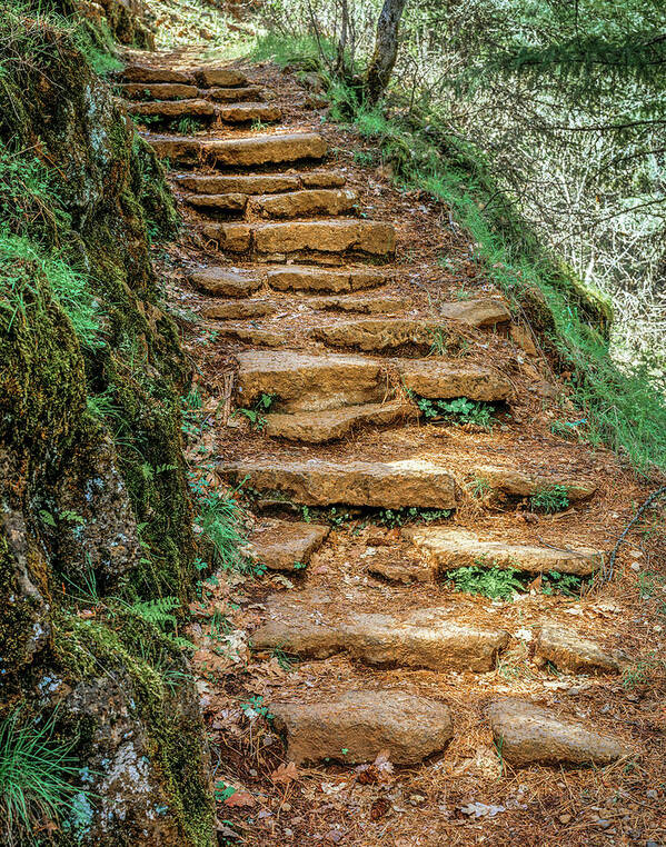 Stairs Poster featuring the photograph Stone Stairs by Randy Bradley