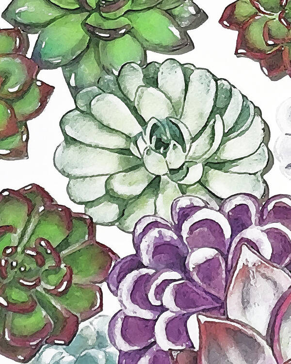 Succulent Poster featuring the painting Succulent Plants On White Wall Contemporary Garden Design IX by Irina Sztukowski