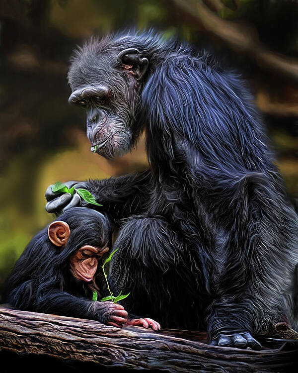 Chimpanzee Poster featuring the digital art Teach Your Children Well by Brad Barton