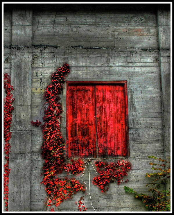 Red Poster featuring the photograph The Red Loft by Wayne King