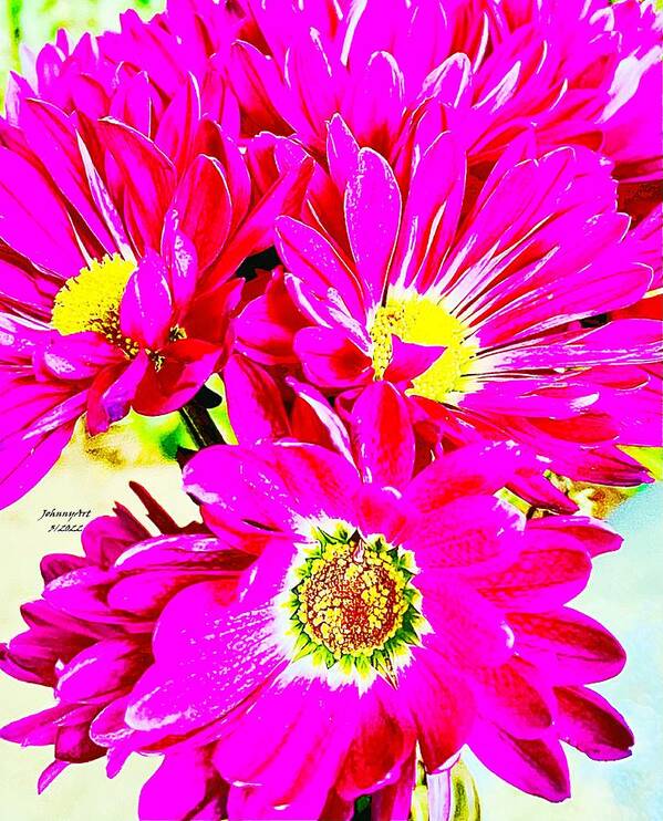 Flowers Poster featuring the photograph Todays Bouquet by John Anderson