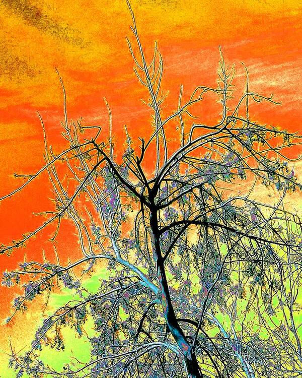 Tree. Sky Poster featuring the photograph Tree Bright Color Sky by Andrew Lawrence