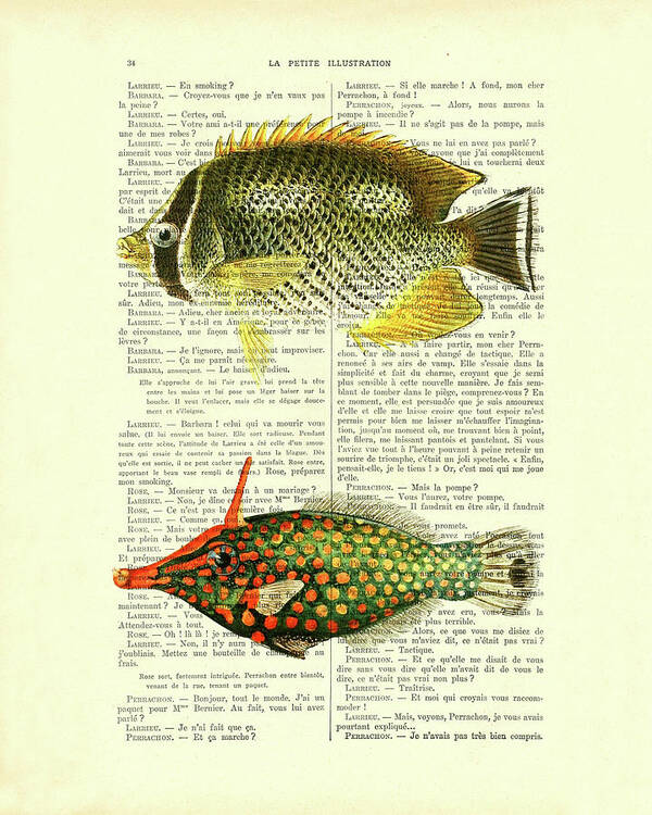 Fish Poster featuring the digital art Tropical fish species chart by Madame Memento