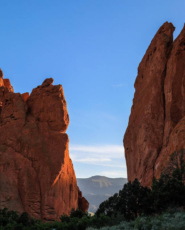 Vertical Garden Of The Gods Pikes Peak Poster featuring the photograph Vertical Garden Of The Gods Pikes Peak by Dan Sproul