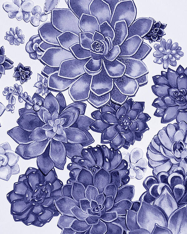 Succulent Poster featuring the painting Very Peri Purple Blue Succulent Plants Garden Watercolor Interior Art II by Irina Sztukowski