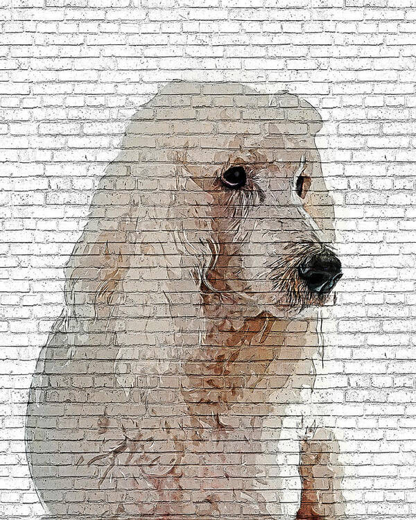 Standard Poster featuring the painting Way too cool, Standard Poodle Dog - Brick Block Background by Custom Pet Portrait Art Studio