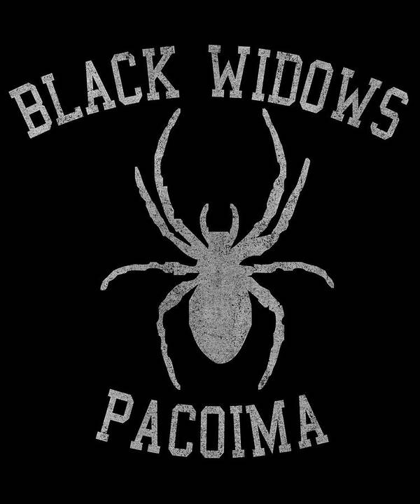 Funny Poster featuring the digital art Widows Pacoima by Flippin Sweet Gear