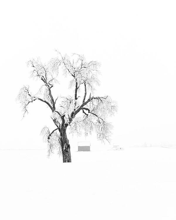 Central Illinois Poster featuring the photograph Winter in the Midwest by Ray Silva