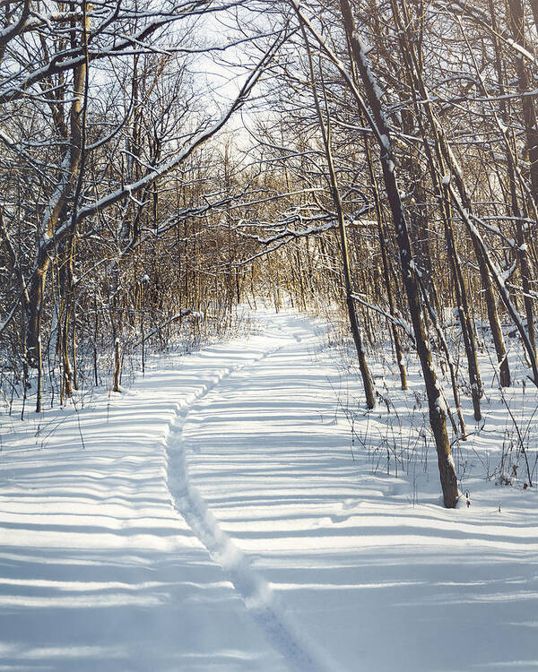 Landscape Poster featuring the photograph Winter Path by Scott Norris