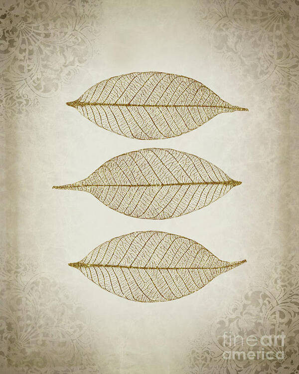 Leaf Poster featuring the photograph Zen leaves by Delphimages Photo Creations