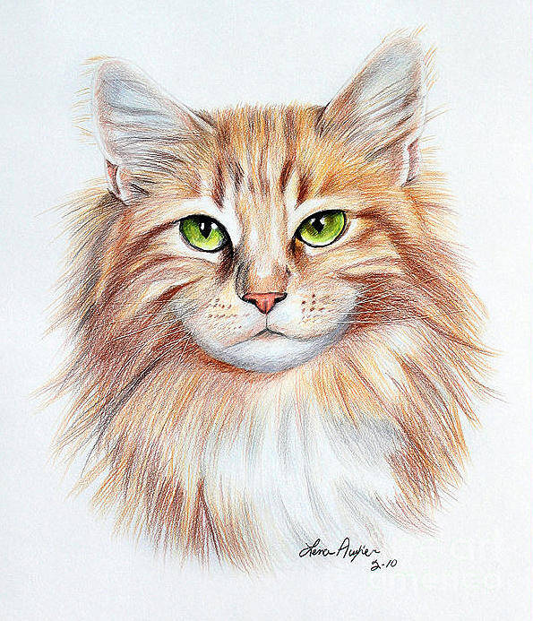 65 Top Coloring Pages Of Calico Cats For Free