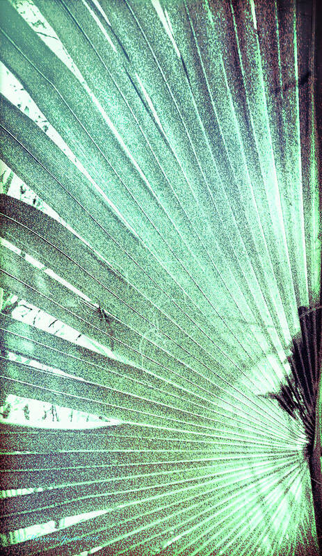 Green Poster featuring the photograph Palm Frond-LH by Marvin Spates