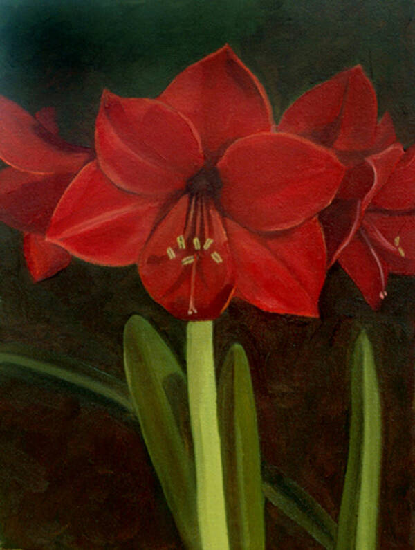 Amaryllis Poster featuring the painting Amaryllis #2 by Nancy Griswold