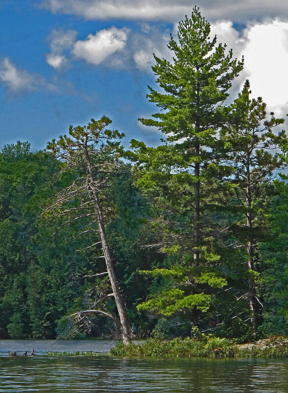 Manitoulin Poster featuring the photograph Away From It All #1 by Ian MacDonald