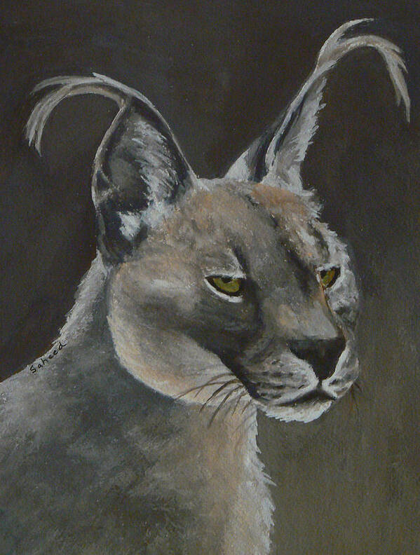 Caracal Poster featuring the painting Caracal Cat #1 by Margaret Saheed