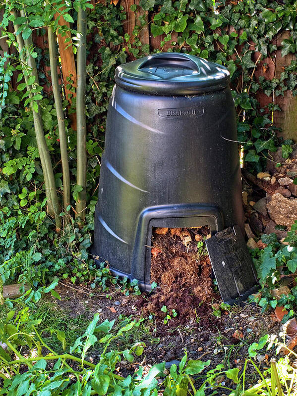 Container Poster featuring the photograph Compost Bin #1 by Gustoimages/science Photo Library