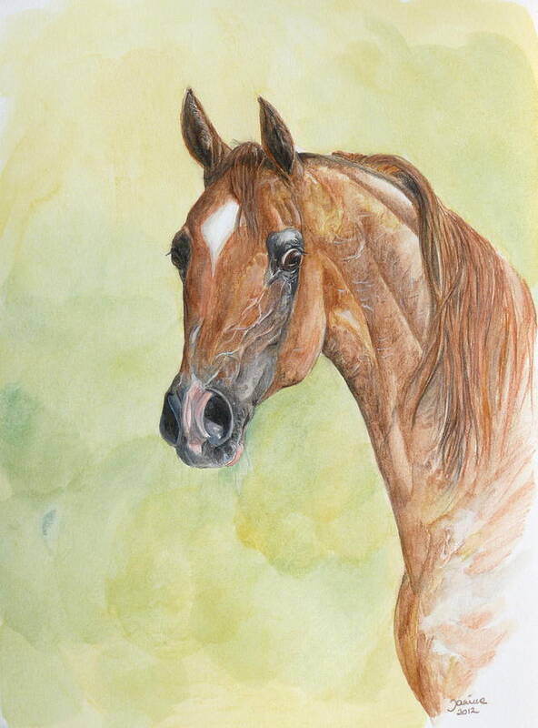 Horse Original Painting Poster featuring the painting Kwestura #2 by Janina Suuronen