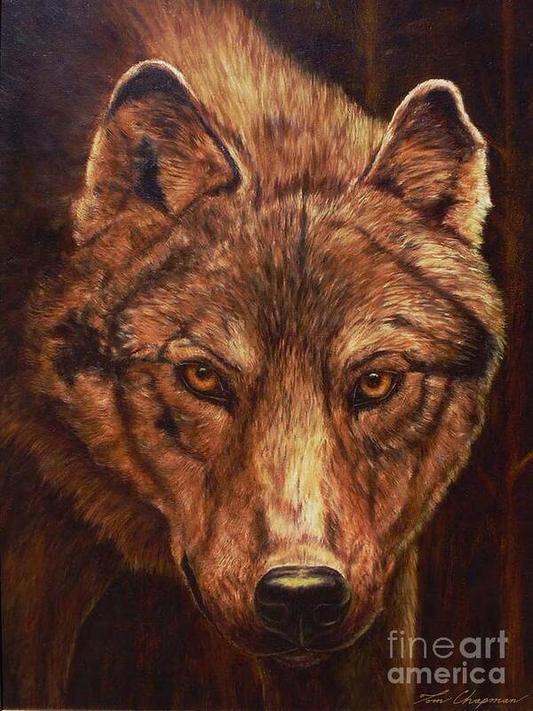 Wolf Poster featuring the painting Lone Wolf #1 by Tom Chapman