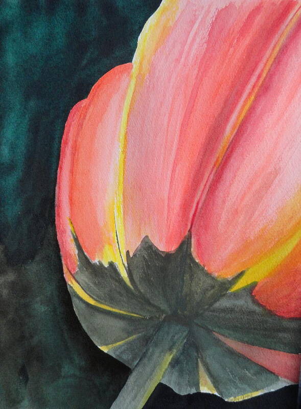 Tulip Poster featuring the painting Looking Up #4 by Betty-Anne McDonald