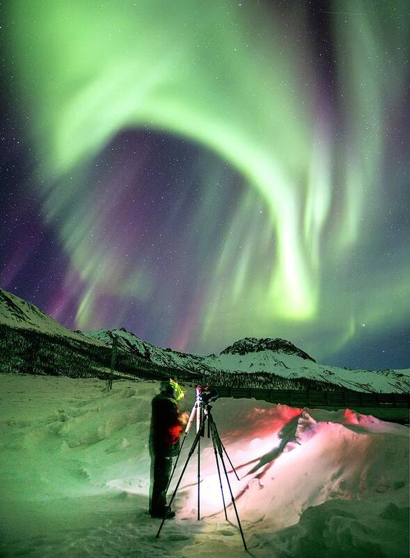 Alaska Poster featuring the photograph Photographer And The Aurora In Alaska #1 by Chris Madeley/science Photo Library