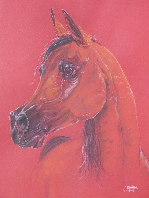 Horses Poster featuring the pastel Pianissima #1 by Janina Suuronen