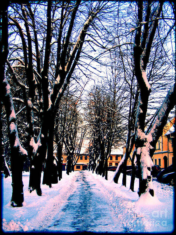 Winter Poster featuring the photograph Winter #1 by Nina Ficur Feenan