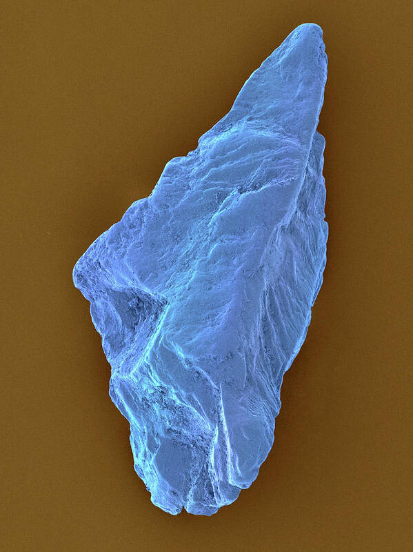 291469 Poster featuring the photograph Sapphire #11 by Dennis Kunkel Microscopy/science Photo Library