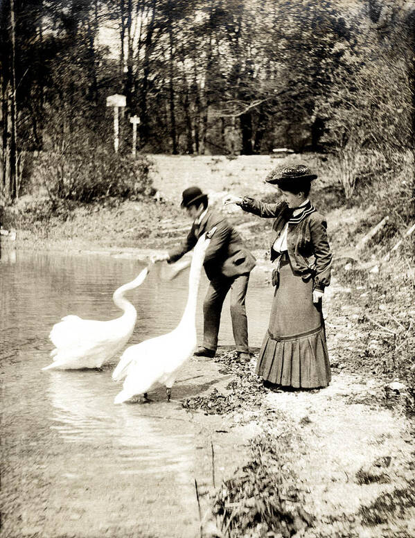 Retro Poster featuring the photograph 1890 Feeding Swans in Paris by Historic Image