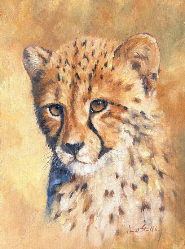 Cheetah Poster featuring the painting Cheetah Cub #3 by David Stribbling