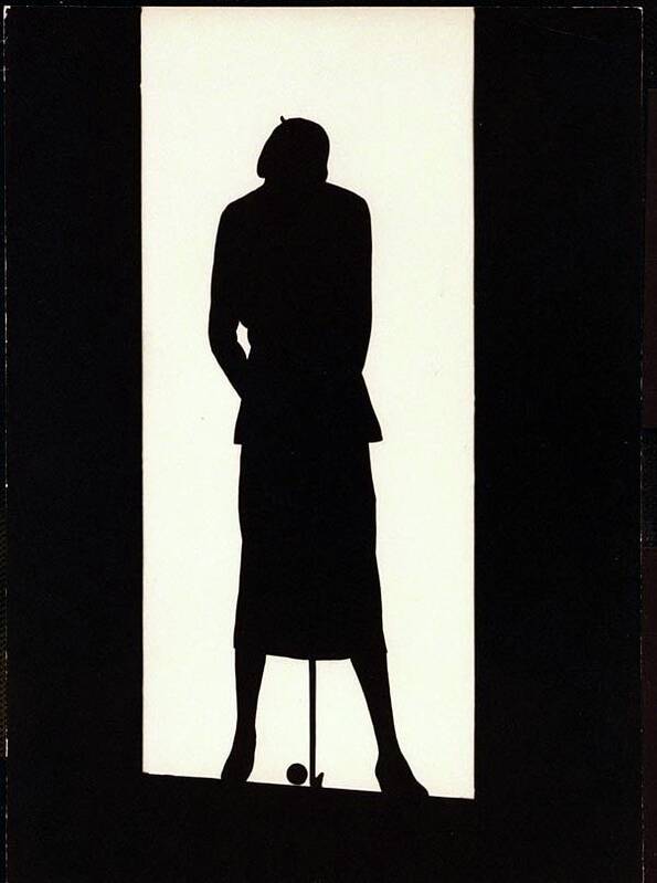 Fashion Poster featuring the photograph The Silhouette Of A Woman #3 by Barre