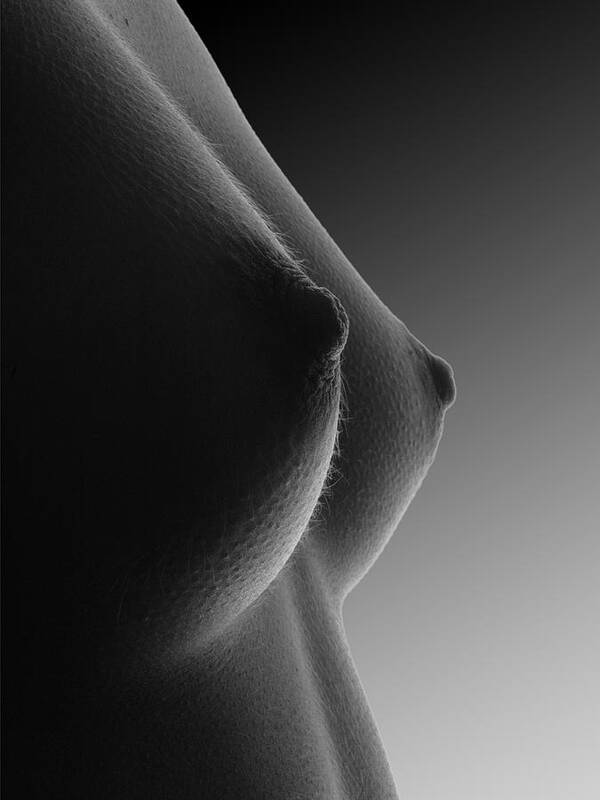 3485 Beautiful Small Breasts Black White Artwork Poster by Chris