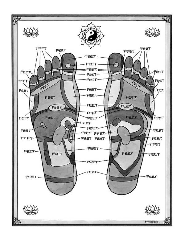 Captionless Poster featuring the drawing A Diagram Of Parts Of The Foot by Pat Byrnes