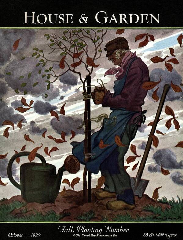 Illustration Poster featuring the photograph A House And Garden Cover Of A Gardener by Pierre Brissaud