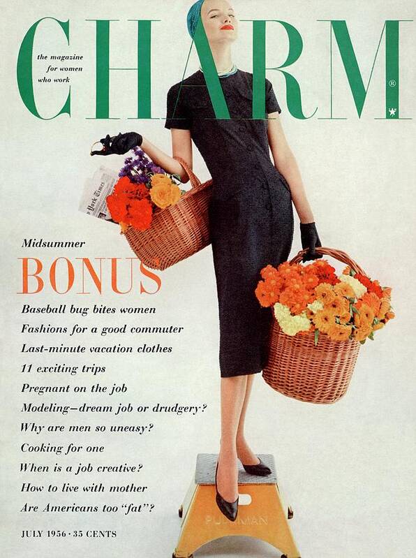 Fashion Poster featuring the photograph A Model Standing On A Pullman Stool by Carmen Schiavone