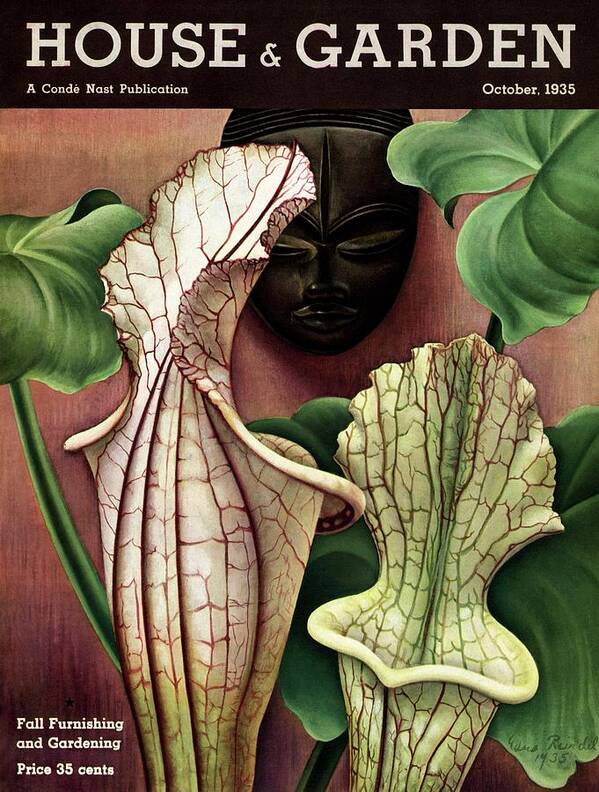 Photograph Poster featuring the photograph A Tropical Flower And An African Mask by Edna Reindel