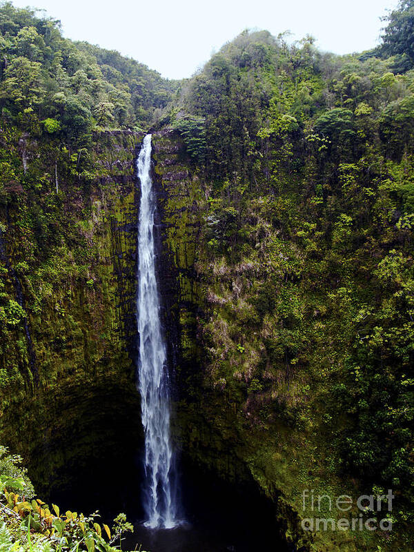 Fine Art Photography Poster featuring the photograph Akaka Falls by Patricia Griffin Brett