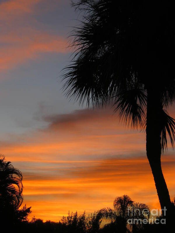 Sunrise Poster featuring the photograph Amazing Sunrise in Florida by Oksana Semenchenko