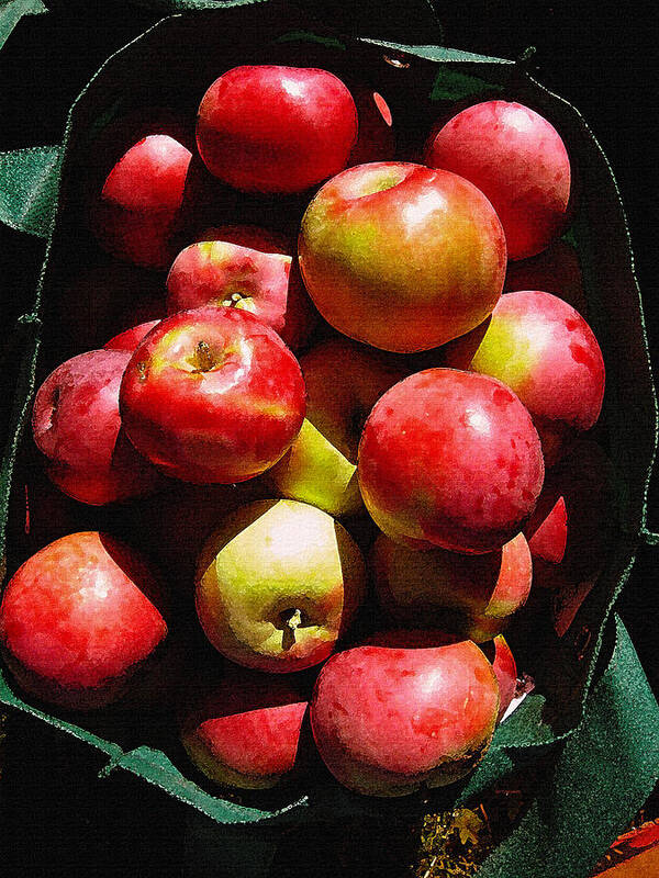 Apple Poster featuring the photograph Apple Harvest by Kathy Bassett