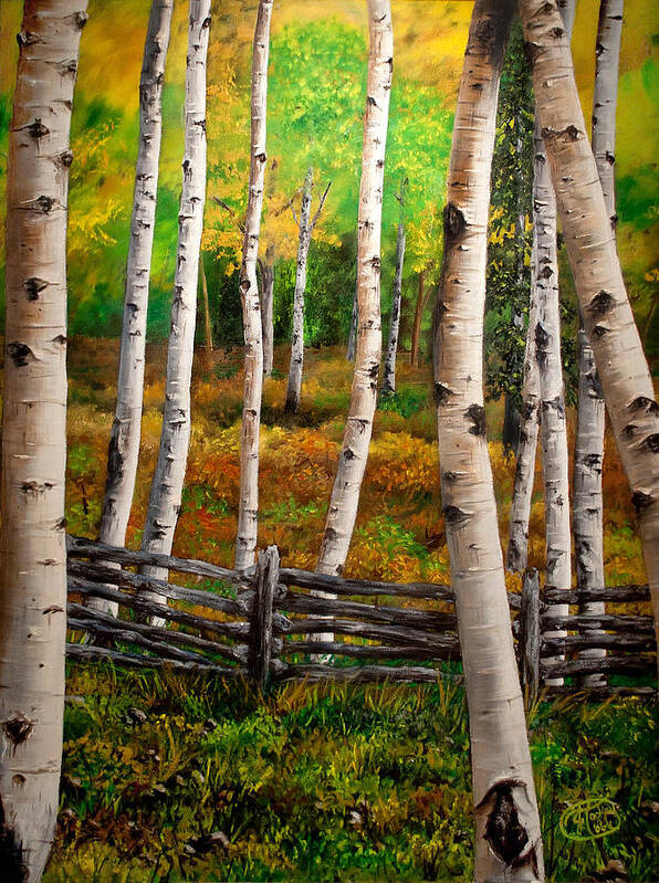 Aspen Trees Poster featuring the painting Aspen Meadow by Jessica Tookey